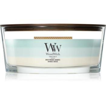 Woodwick Trilogy Driftwood Shores illatgyertya fa kanóccal 453.6 g kép