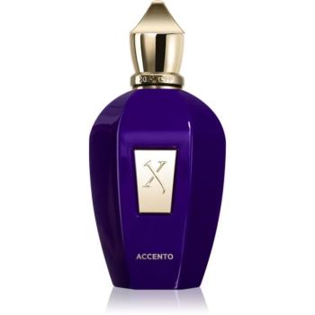 Xerjoff Accento Eau de Parfum unisex 100 ml kép