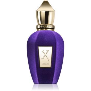 Xerjoff Accento Eau de Parfum unisex 50 ml kép