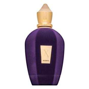 Xerjoff Accento Eau de Parfum uniszex 100 ml kép