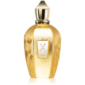 Xerjoff Accento Overdose Eau de Parfum unisex 100 ml kép