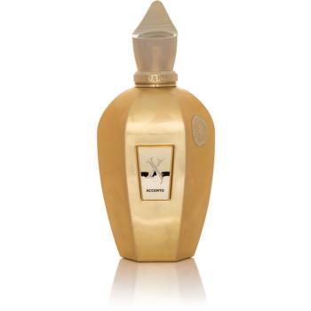 Xerjoff Accento Overdose EdP 100 ml kép