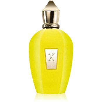 Xerjoff Amabile Eau de Parfum unisex 100 ml kép