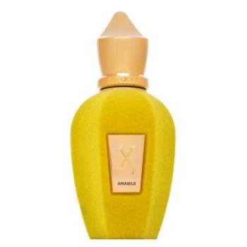 Xerjoff Amabile Eau de Parfum uniszex 50 ml kép