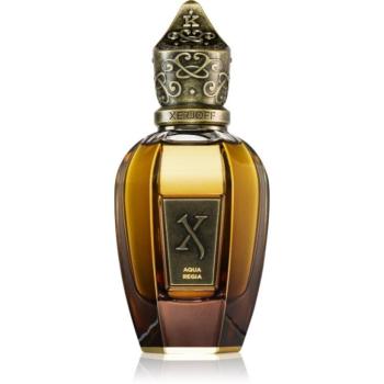 Xerjoff Aqua Regia parfüm unisex 50 ml kép