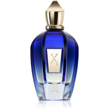 Xerjoff Comandante Eau de Parfum unisex 100 ml kép