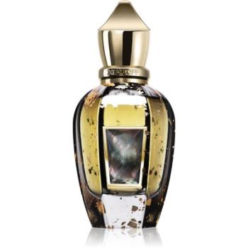 Xerjoff Homme Anniversary parfüm uraknak 50 ml kép