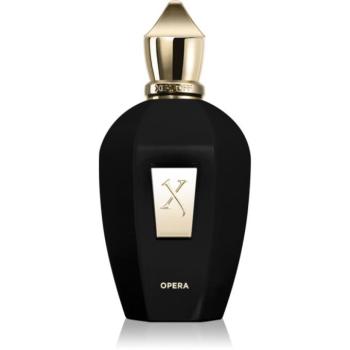 Xerjoff Opera Eau de Parfum unisex 100 ml kép