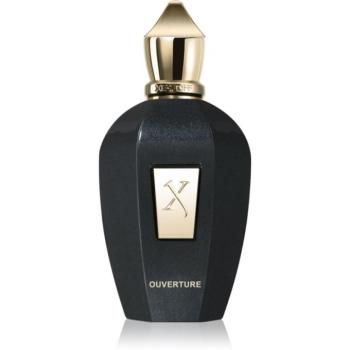 Xerjoff Ouverture Eau de Parfum unisex 100 ml kép