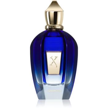 Xerjoff Torino21 Eau de Parfum unisex 100 ml kép