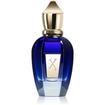 Xerjoff Torino21 Eau de Parfum unisex 50 ml kép