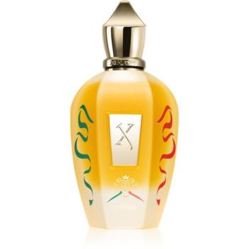 Xerjoff XJ 1861 Decas Eau de Parfum unisex 100 ml kép