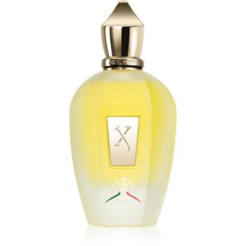Xerjoff XJ 1861 Naxos Eau de Parfum unisex 100 ml kép