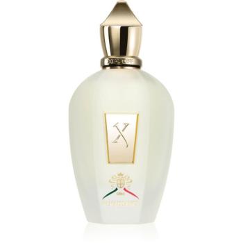 Xerjoff XJ 1861 Renaissance Eau de Parfum unisex 100 ml kép