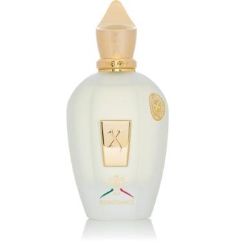 Xerjoff XJ 1861 Renaissance EdP 100 ml kép