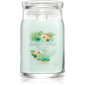 Yankee Candle Aloe & Agave illatgyertya 567 g kép