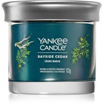 Yankee Candle Bayside Cedar illatgyertya 122 g kép