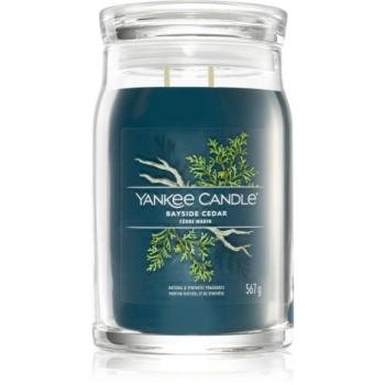 Yankee Candle Bayside Cedar illatgyertya Signature 567 g kép