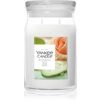 Yankee Candle Blooming Love illatgyertya 567 g kép