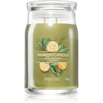 Yankee Candle Sage & Citrus illatgyertya Signature 567 g kép