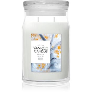 Yankee Candle Silver Birch illatgyertya 567 g kép