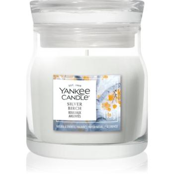 Yankee Candle Silver Birch illatgyertya Signature 110 g kép