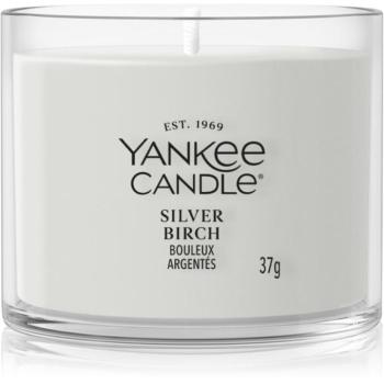 Yankee Candle Silver Birch viaszos gyertya 37 g