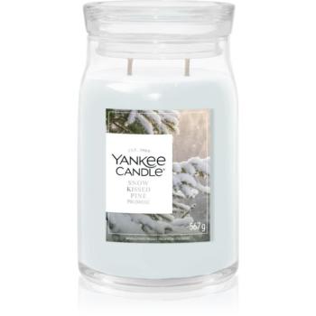 Yankee Candle Snow Kissed Pine illatgyertya 567 g kép