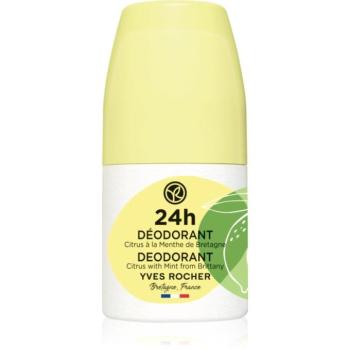 Yves Rocher 24 H golyós dezodor roll - on Citrus & Mint 50 ml kép