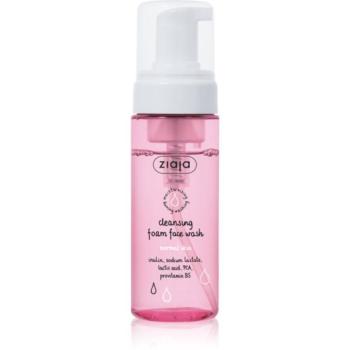 Ziaja Cleansing tisztító hab normál bőrre 150 ml kép