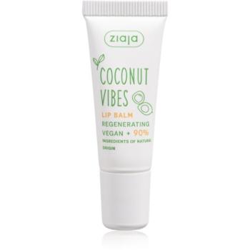 Ziaja Coconut Vibes ajakbalzsam regeneráló hatással 10 ml kép