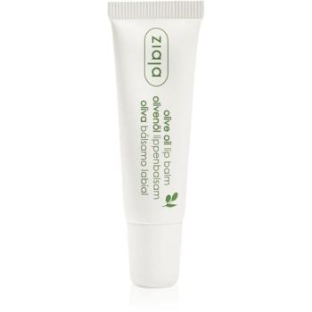Ziaja Olive Oil tápláló szájbalzsam olíva kivonattal 10 ml kép